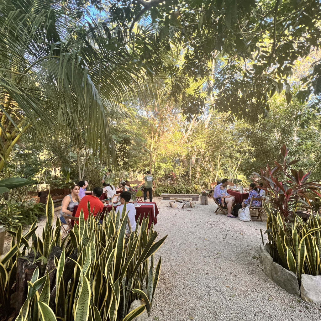 Importancia de la conservación de cenotes