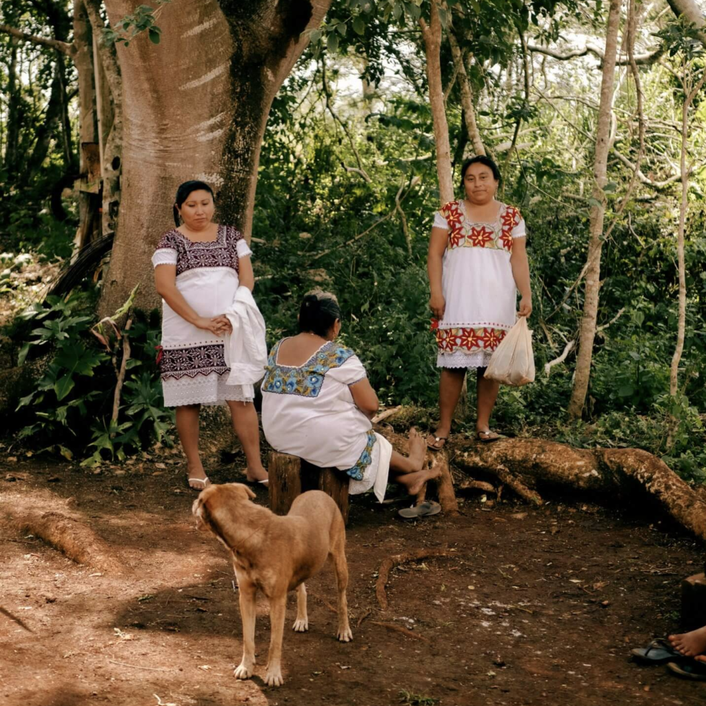 Practicas agrícolas que pasan de generación en generación