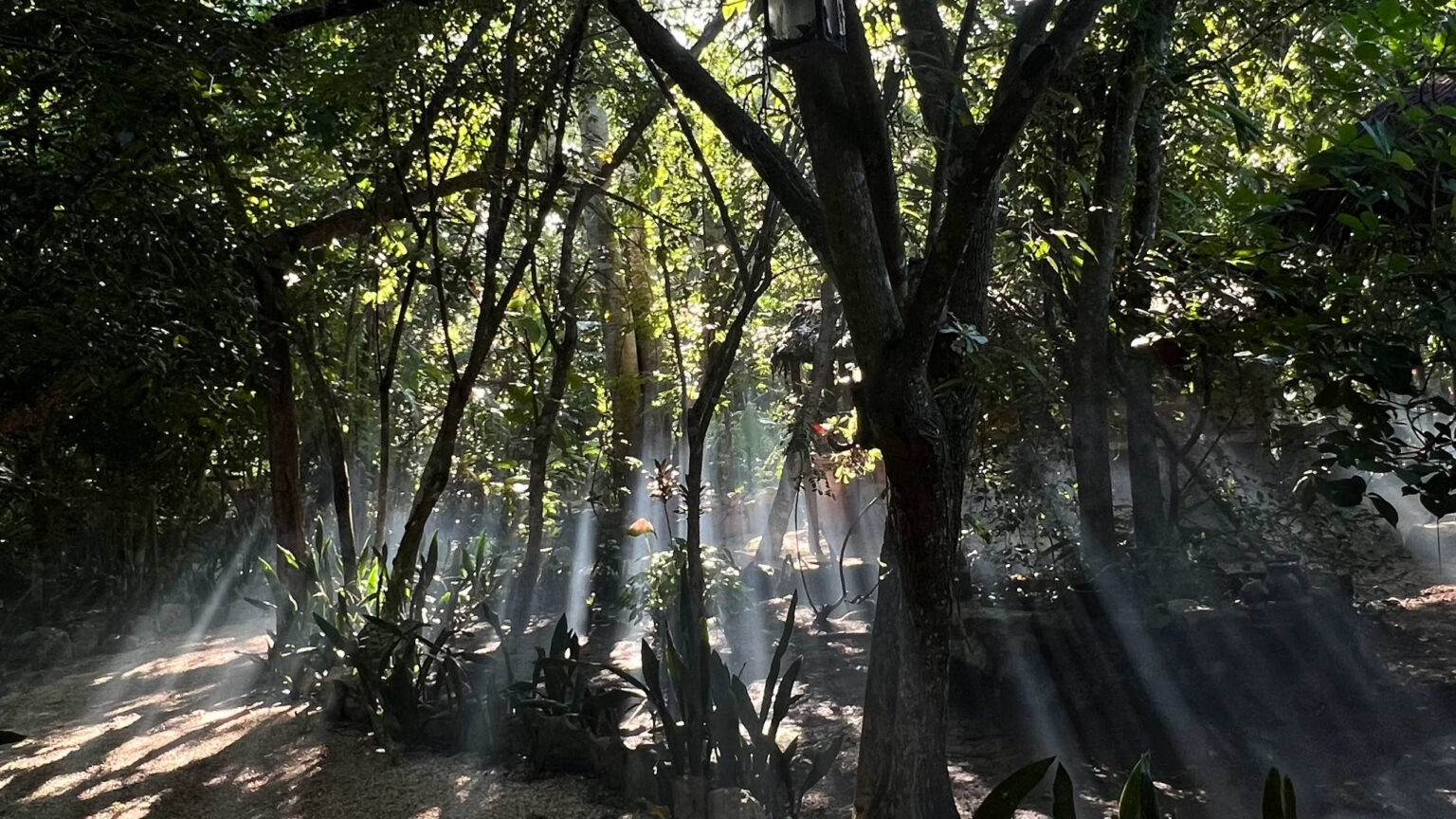 Experiencias únicas en lugares especiales