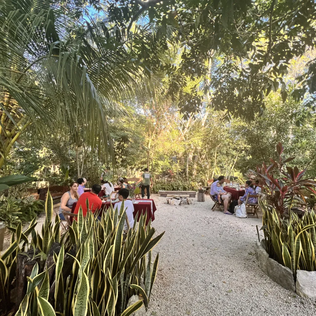 Experiencia en el cenote Zazil Tunich cerga de Valladolid