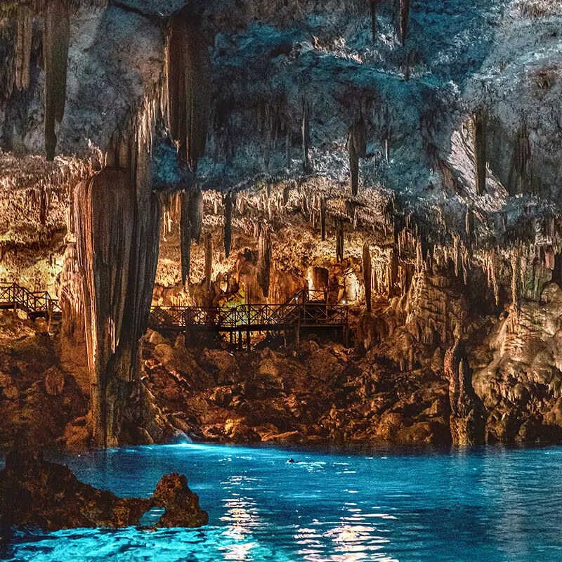Comida en cenote