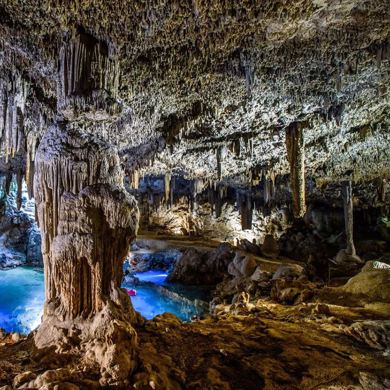 Comida en cenote